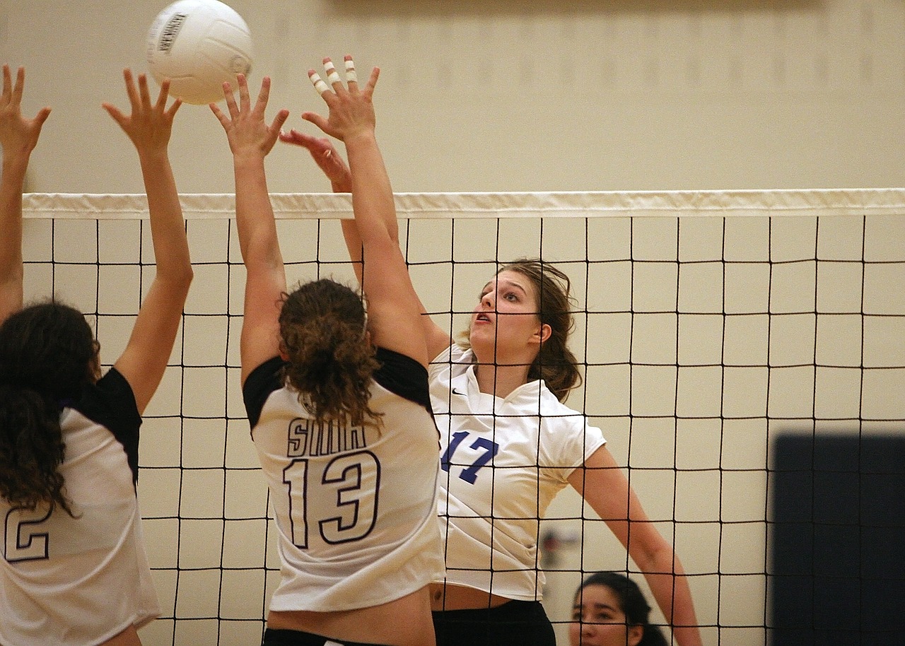 volleyball-1604584_1280.jpg